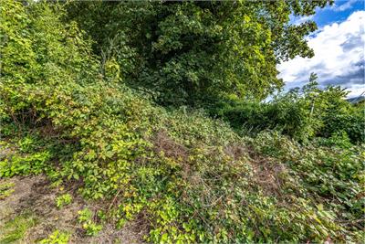 9 Bristol Terrace, Galashiels, TD1 2EU - image 16
