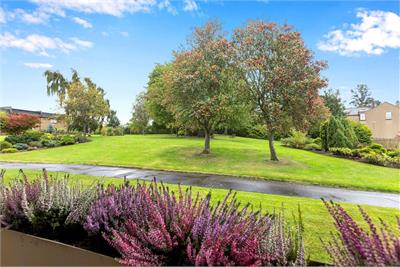 2/2 Craigleith Avenue South, Ravelston, Edinburgh, EH4 3LQ - image 25
