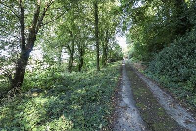 Myrton, 349 High Street, Dalbeattie, DG5 4QX - image 36