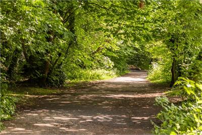 11 Cramond Gardens, Cramond, EH4 6PT - image 32