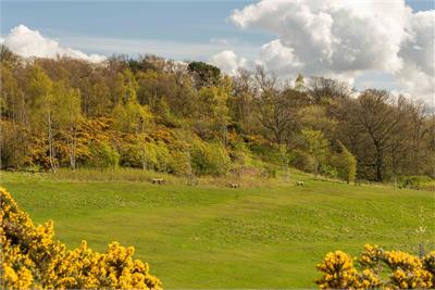 9/2 Ashwood Gait, Edinburgh, EH12 8PE - image 14