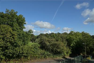 4 Millburn Road, Westfield, Bathgate, EH48 3BT - image 32