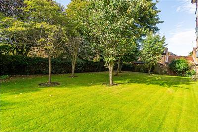 81/5 Easter Warriston, Edinburgh, EH7 4QY - image 18