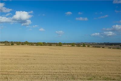 14 Cinderhall Place, Elphinstone, Tranent, EH33 2LR - image 14