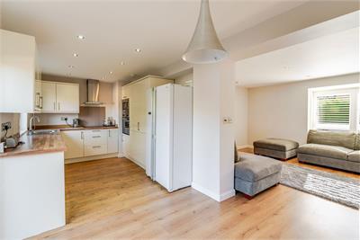 38 Ross Gardens, Edinburgh, EH9 3BR - image 15