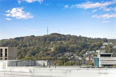 9 (flat 12), Westfield Street, Gorgie, Edinburgh, EH11 2RB - image 10