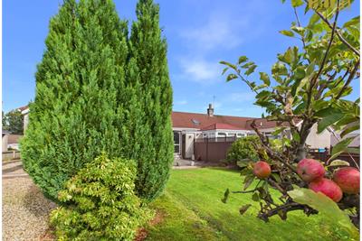 Grampian Way Barrhead - image 18