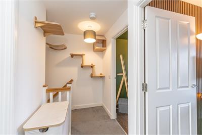 20 Lumsden Loan, Edinburgh, EH17 8ZF - image 8