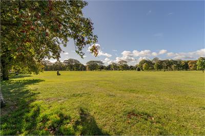 2b Links Gardens Lane, Edinburgh, EH6 7JQ - image 24
