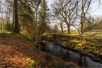 6 Turner Avenue, Edinburgh, EH14 7BS - image 25