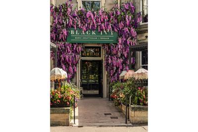 18/11 Blackwood Crescent, Edinburgh, EH9 1QY - image 25