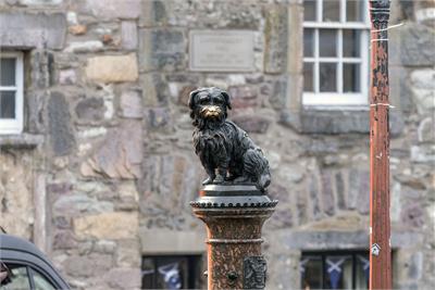5/1 Greyfriars Place, Old Town, Edinburgh, EH1 2QQ - image 11