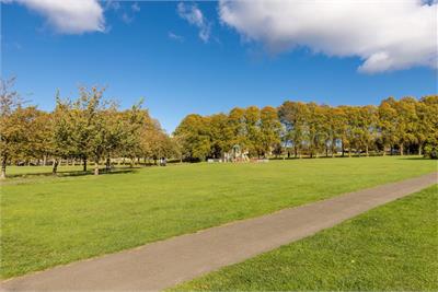 12/3 Ogilvie Terrace, Edinburgh, EH11 1NR - image 22