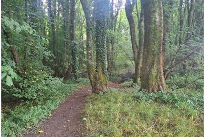 3 Plots of Woodland South of Drumfork Road, Helensburgh G84 7JW - image 2