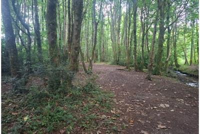 3 Plots of Woodland South of Drumfork Road, Helensburgh G84 7JW - image 4