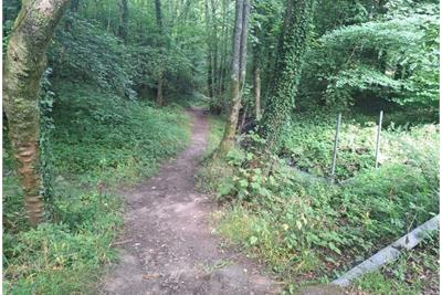 3 Plots of Woodland South of Drumfork Road, Helensburgh G84 7JW - image 5