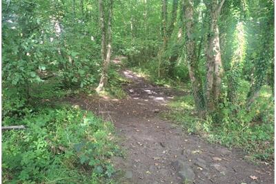 3 Plots of Woodland South of Drumfork Road, Helensburgh G84 7JW - image 1