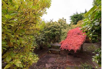 39 Stapeley Avenue, Edinburgh EH7 6QR - image 25
