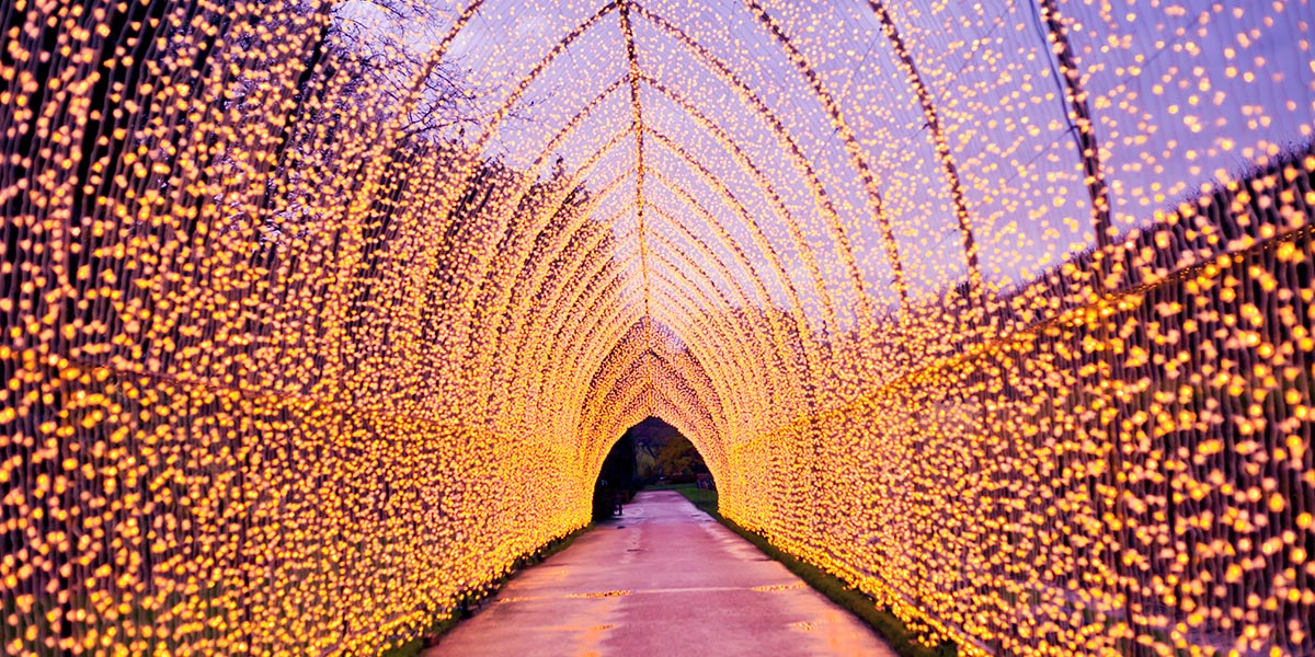 Royal Botanics At Christmas