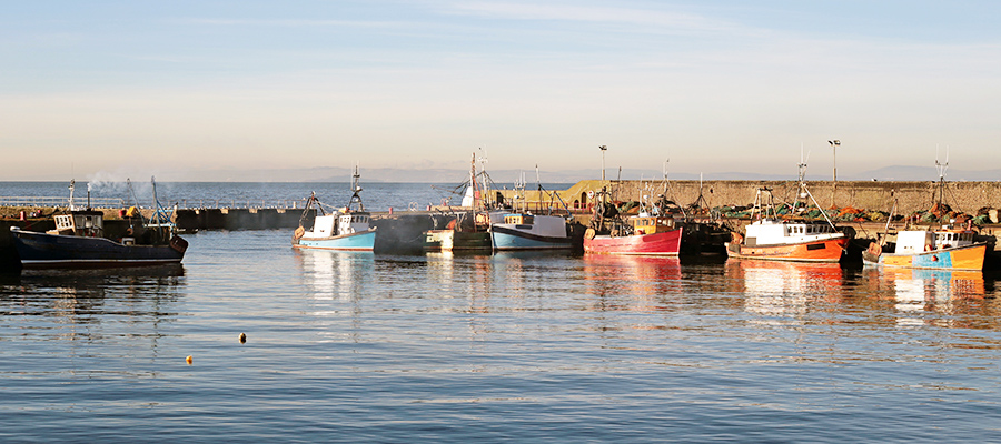 Living in Port Seton