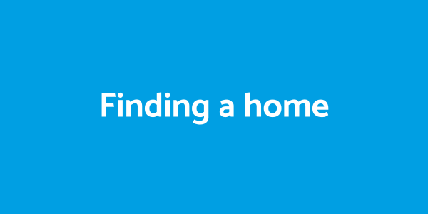Finding a home