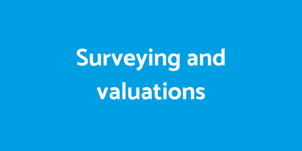 Surveys & valuations