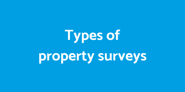 Types of property surveys