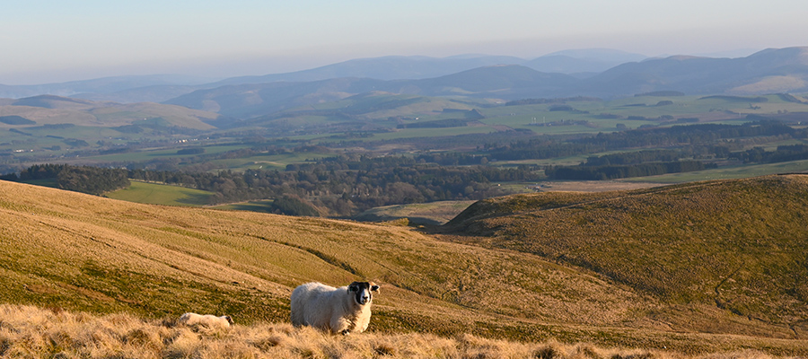 Living in West Linton