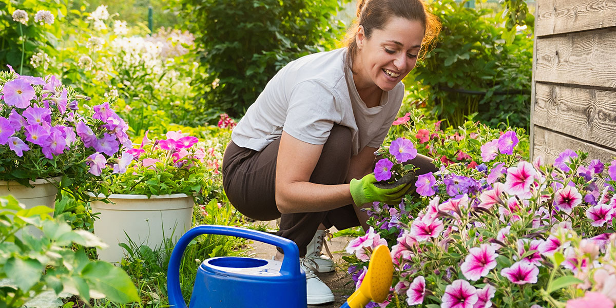 Summer Garden Sessions