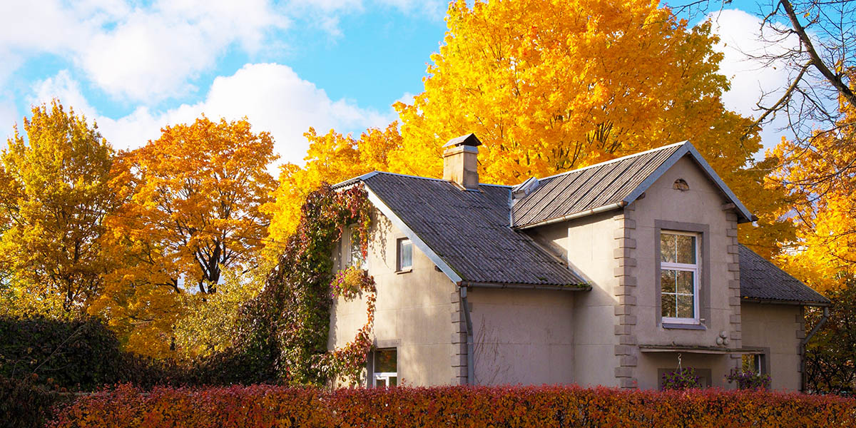 Autumnal home