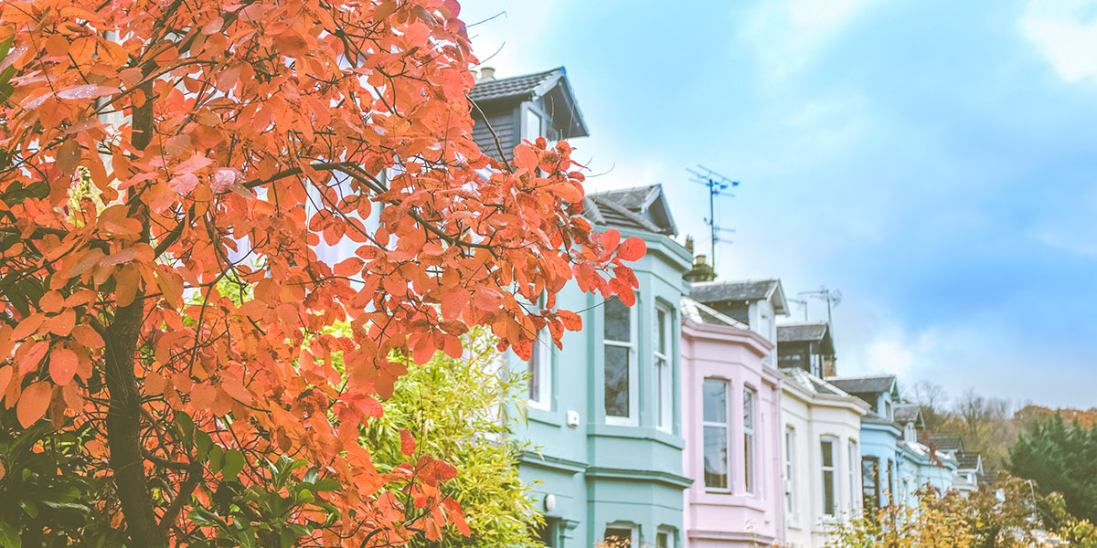 Autumnal houses