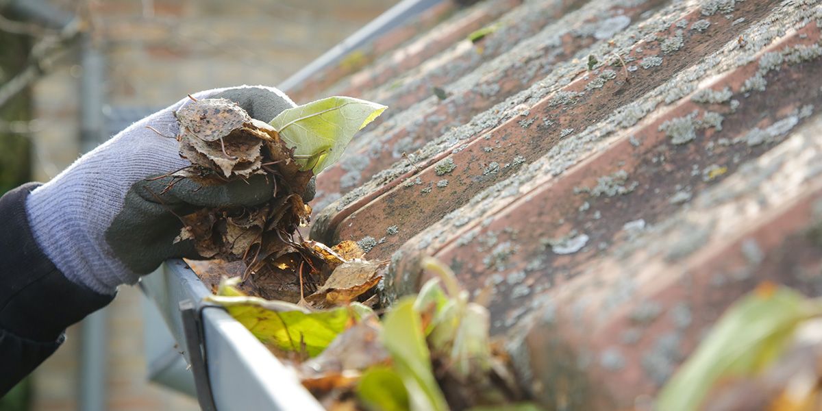 Gutter cleaning