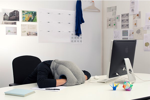 ostrich pillows