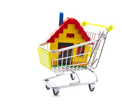home in shopping trolley