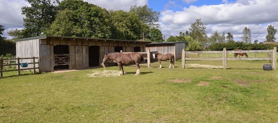 Riverside Barns stables