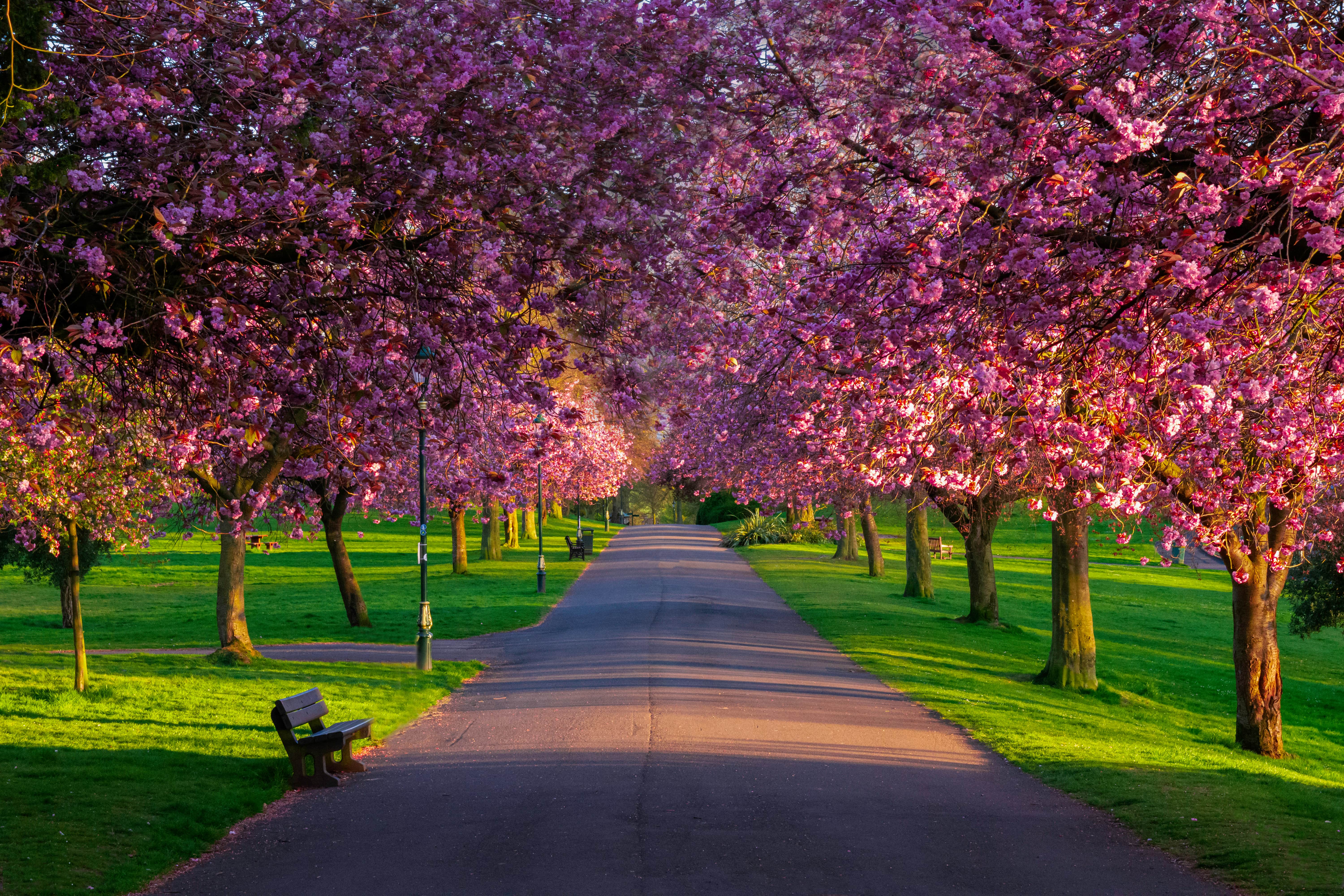 Pittencrieff Park